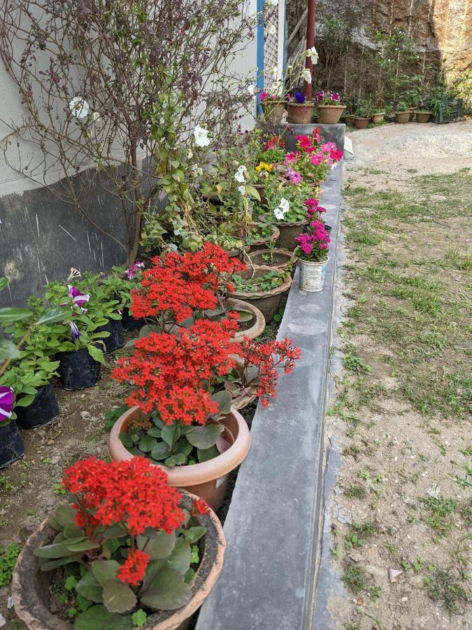 Nilachal Homes Guwahati Esterno foto